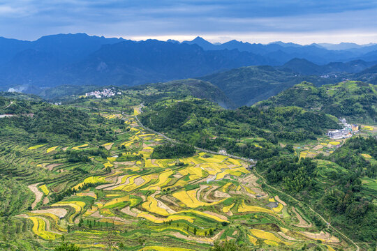 温州永嘉茗岙梯田