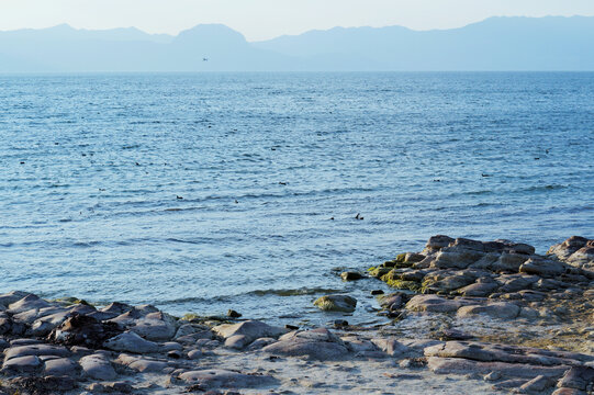 云南抚仙湖湖景