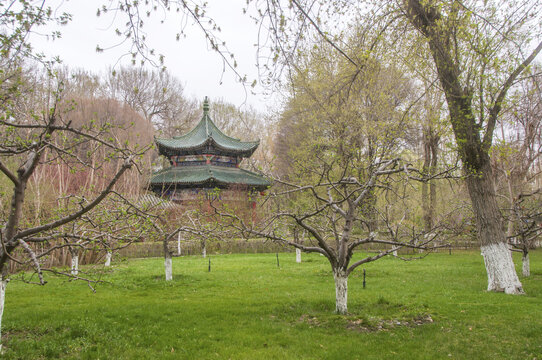 中式园林风景