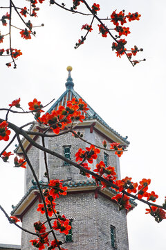 广州古建筑木棉花