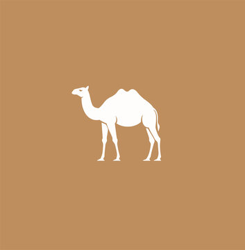 駱駝logo