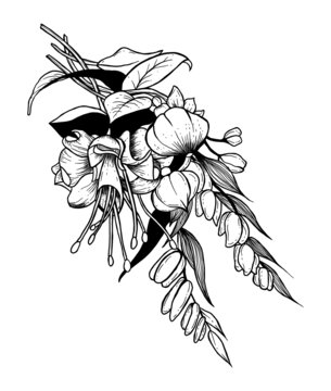 燈籠花束
