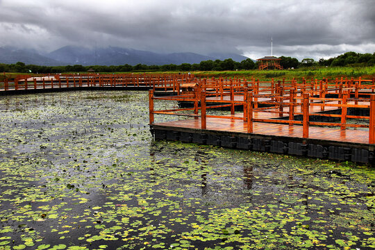 黑瞎子岛湿地