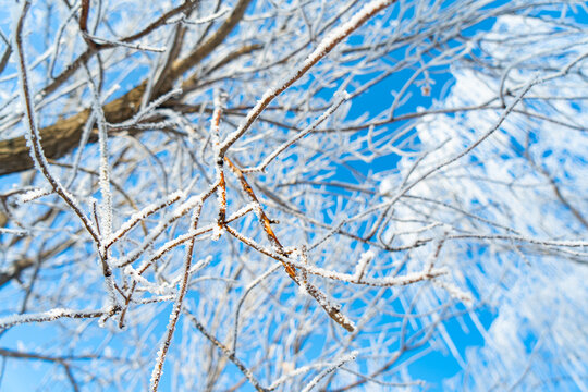 漂亮树挂冬季雪景农村雪景