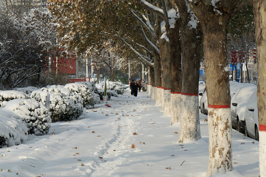 大雪过后的城市街道的行人