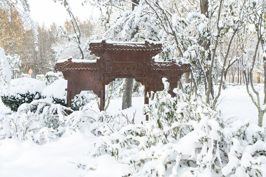 大雪后的公园绿植雪景风光