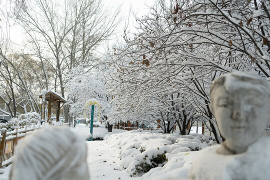 大雪中的树挂雪景城市自然风光