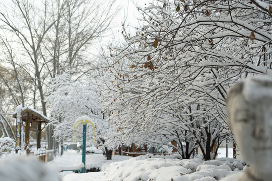 大雪中的树挂雪景城市自然风光