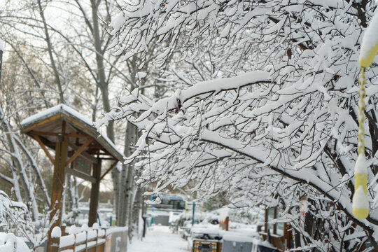 大雪中的树挂雪景城市自然风光