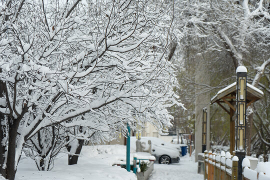 大雪中的树挂雪景城市自然风光