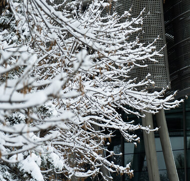 大雪中的树挂雪景自然风光