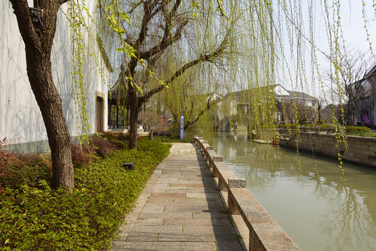 古运河两岸春风又绿江南岸