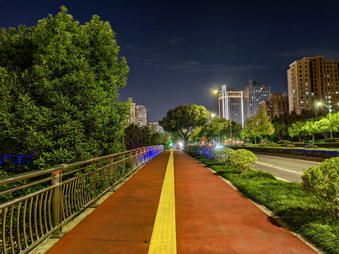 夜晚城市步道绿道景观