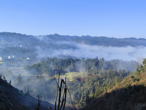 春日乡村美景