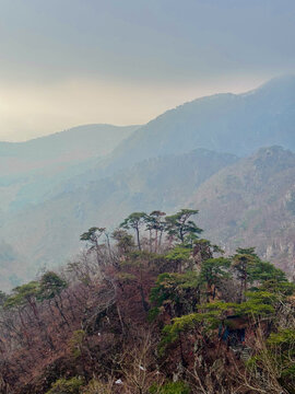 山中风景