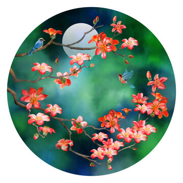 木棉花花鳥