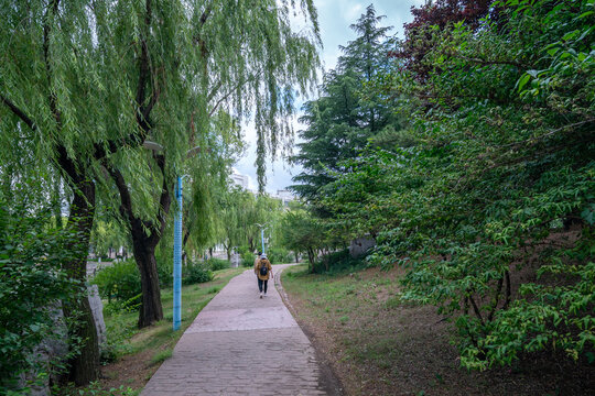 青岛农业大学湖畔小路