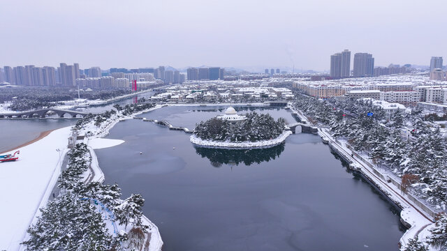 九龙湾公园