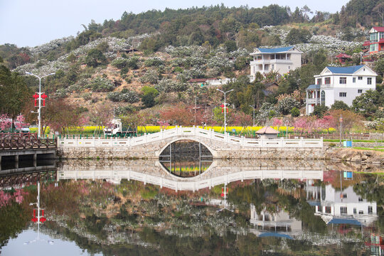 乡村风景