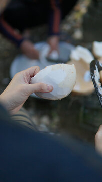 海南椰子肉