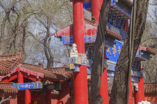 乌鲁木齐大佛寺建筑掠影