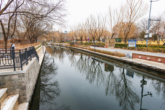 北京动物园河堤风光