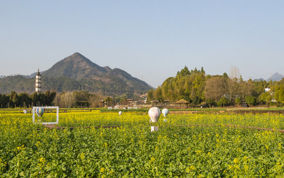 杭州新叶古村田野风光