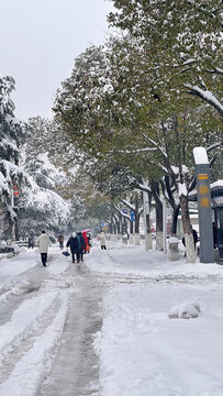 雪天道路