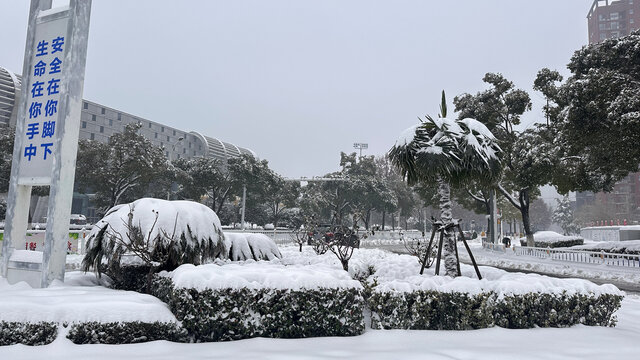 城市雪景