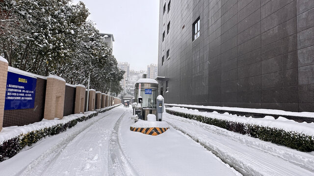 雪地