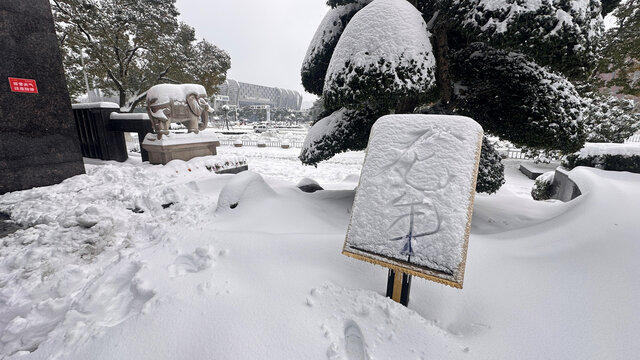 雪景