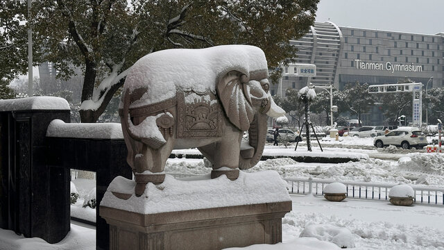 雪景