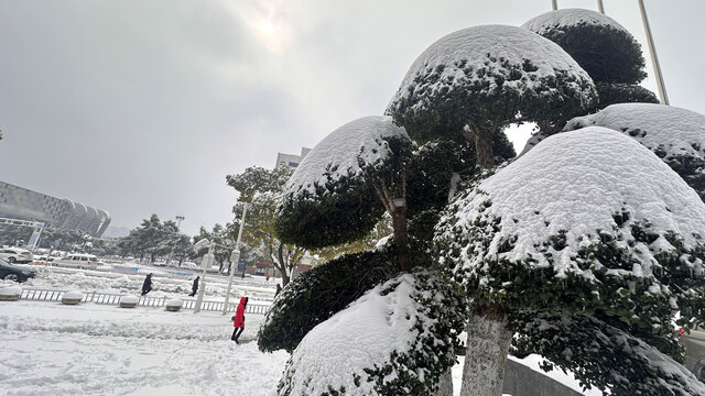 雪景