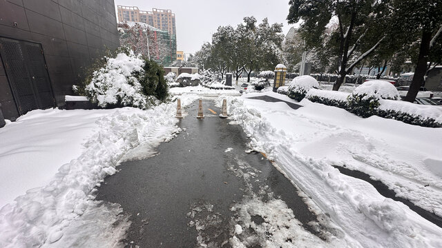 雪景