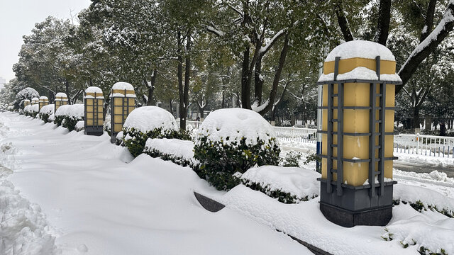 雪景