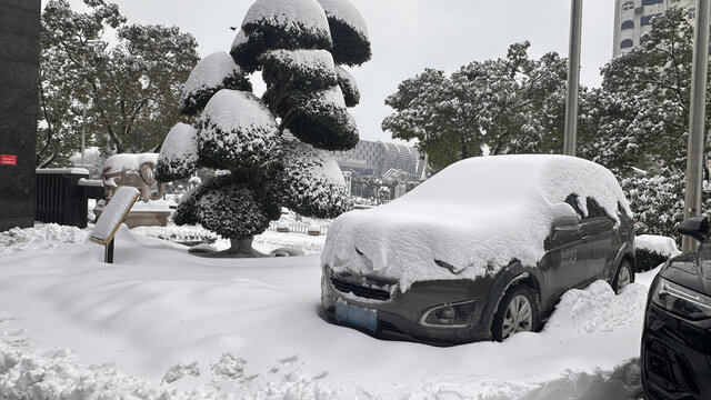 雪后