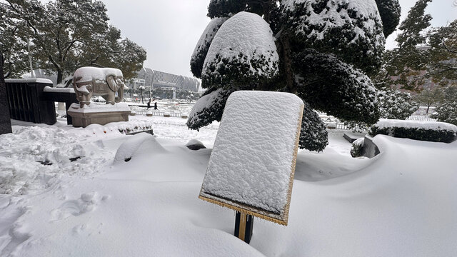 白雪