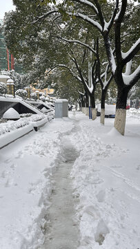 冬天的道路