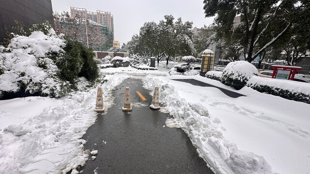 冬天的道路