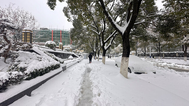 路上雪景