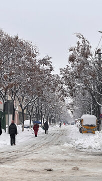 路上雪景