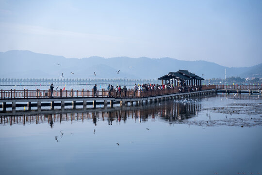 石屏异龙湖风光