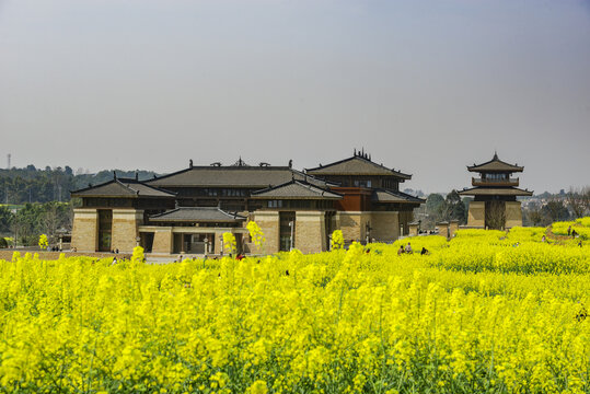 油菜花与古建筑