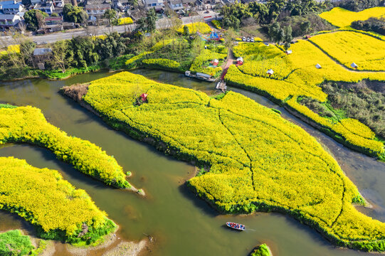 川西坝子水乡油菜花