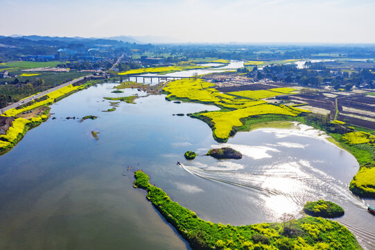 川西坝子水乡油菜花