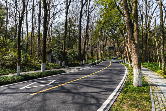 三台山路