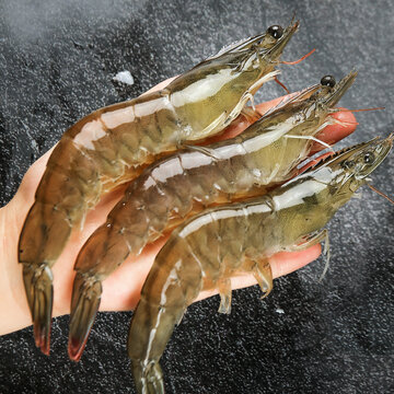 青岛大虾
