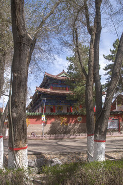 乌鲁木齐大佛寺掠影