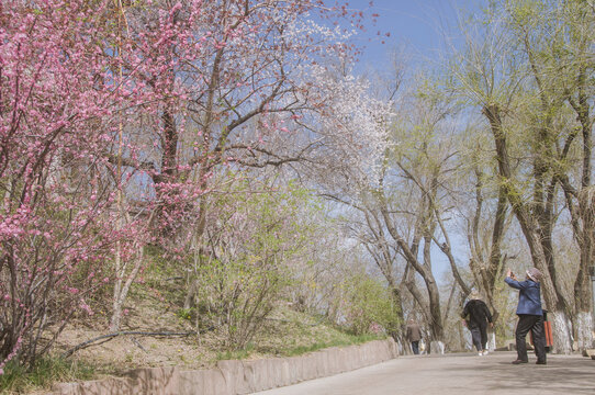 初春的红山公园风光