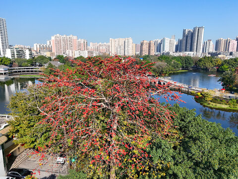 广州荔湾湖